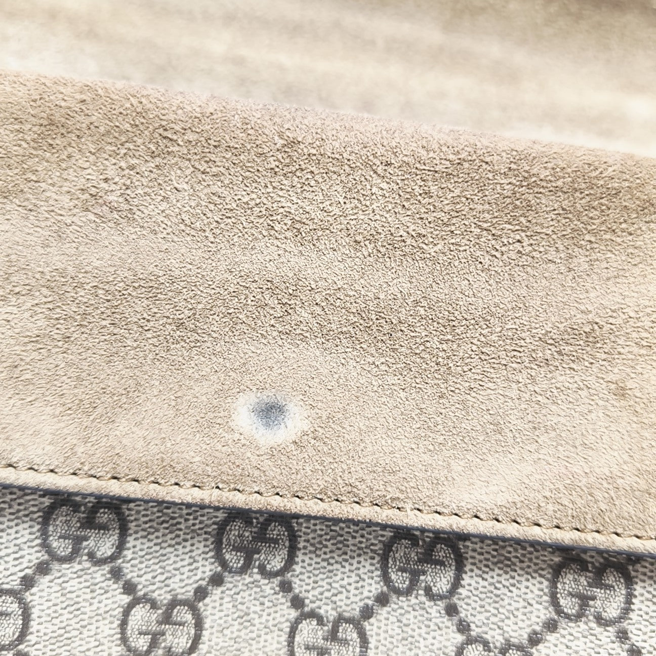 Dionysus Mini Monogram Coated Canvas Beige