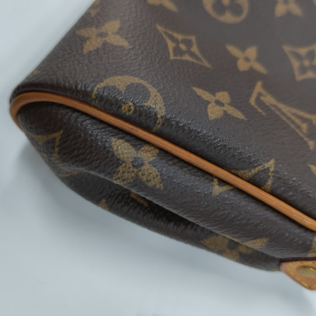 EVA Monogram Coated Canvas Brown
