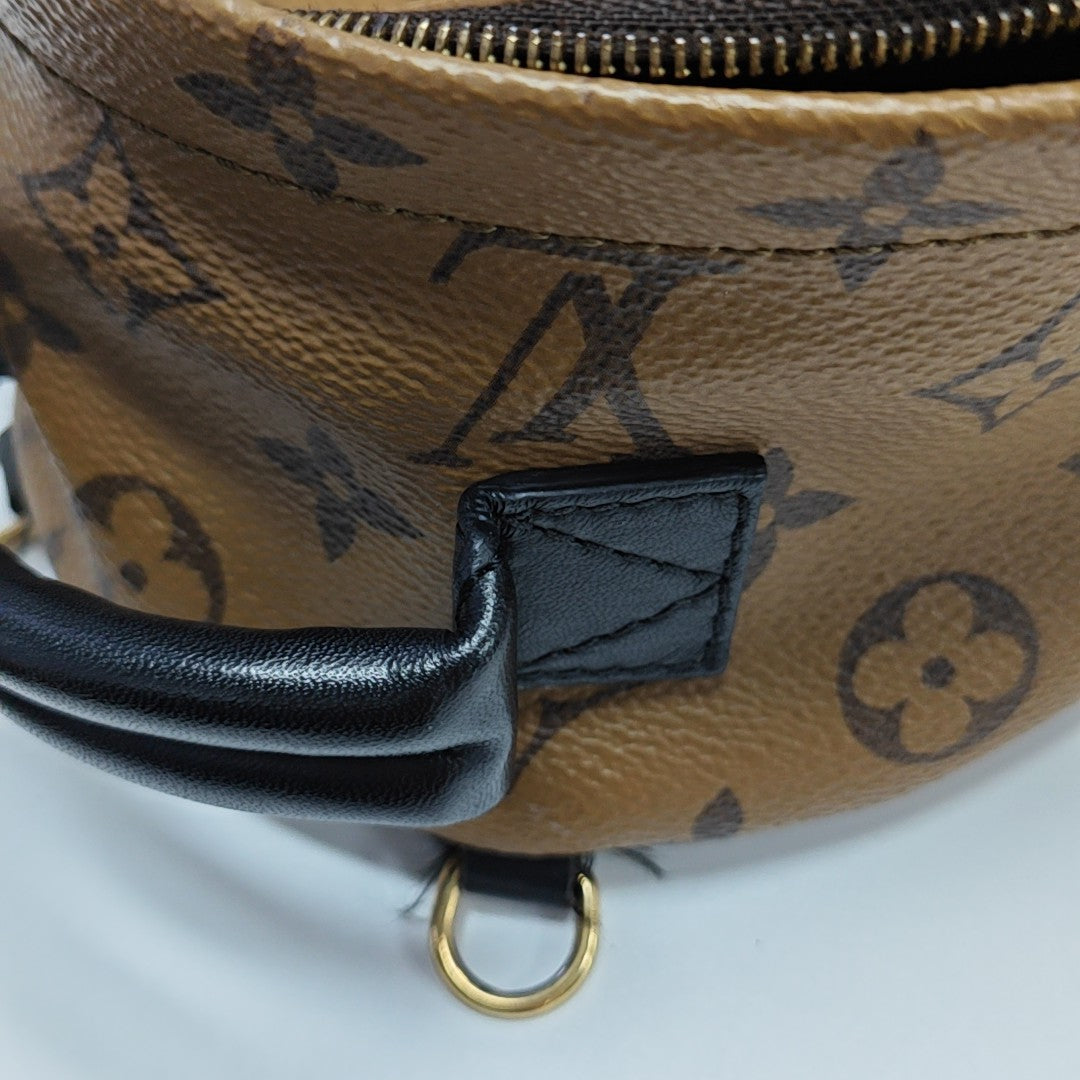 PALM SPRINGS Mini Monogram Coated Canvas Brown