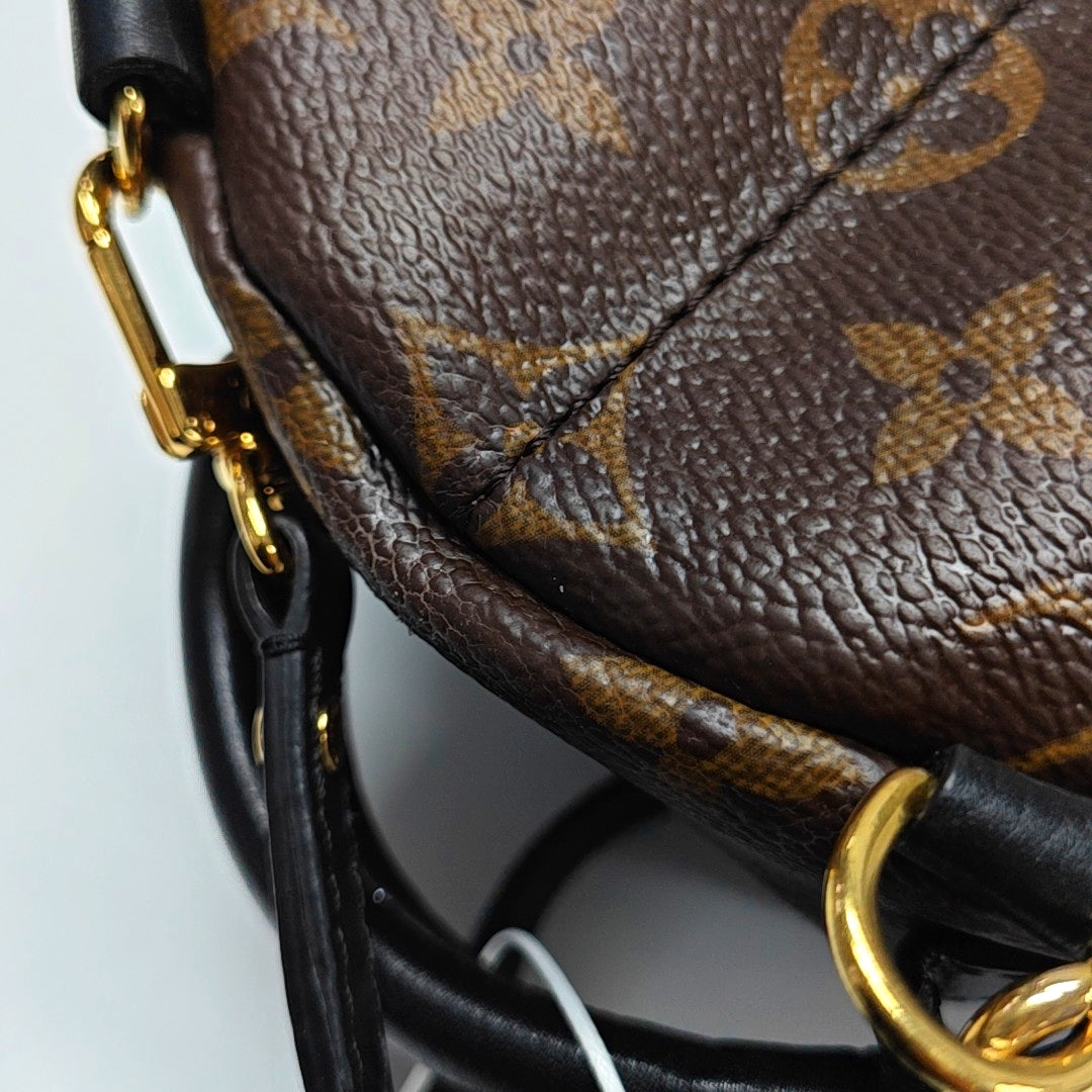 Authenticated pre-owned  PALM SPRINGS Mini Monogram Coated Canvas Brown - Backpack at Looply