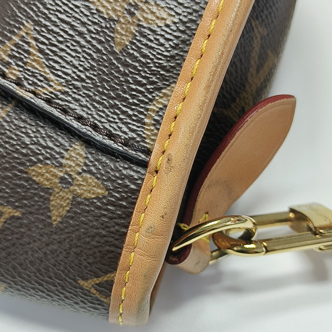 DIANE Monogram Coated Canvas Brown