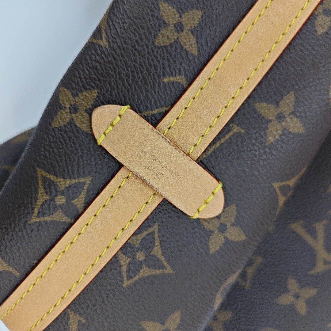 CARRYALL MM Monogram Coated Canvas Brown
