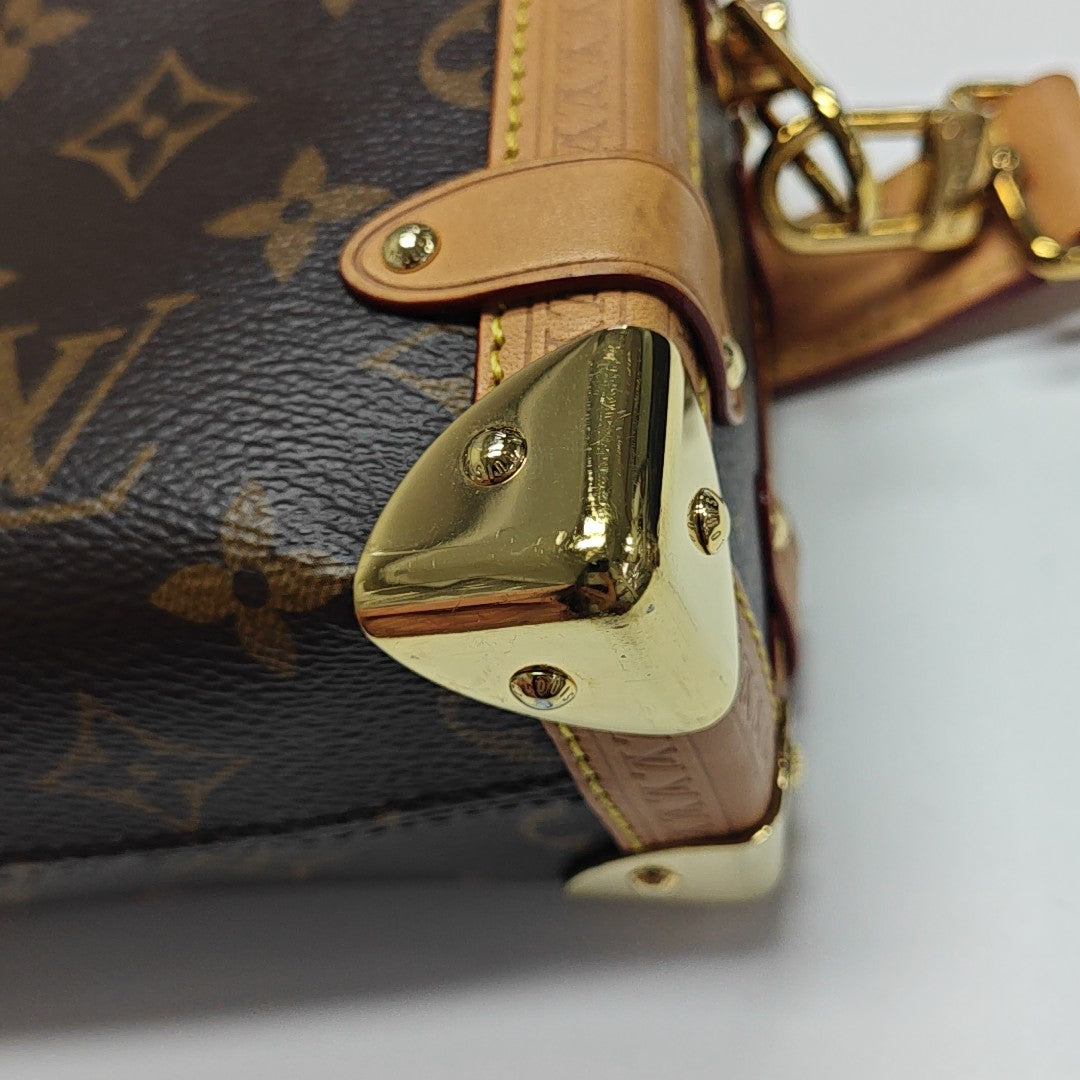 SIDE TRUNK PM Monogram Coated Canvas Brown