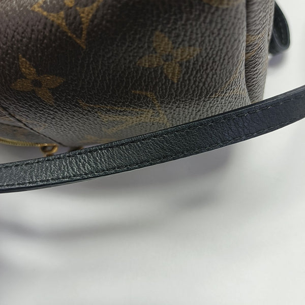 PALM SPRINGS Mini Monogram Coated Canvas Brown