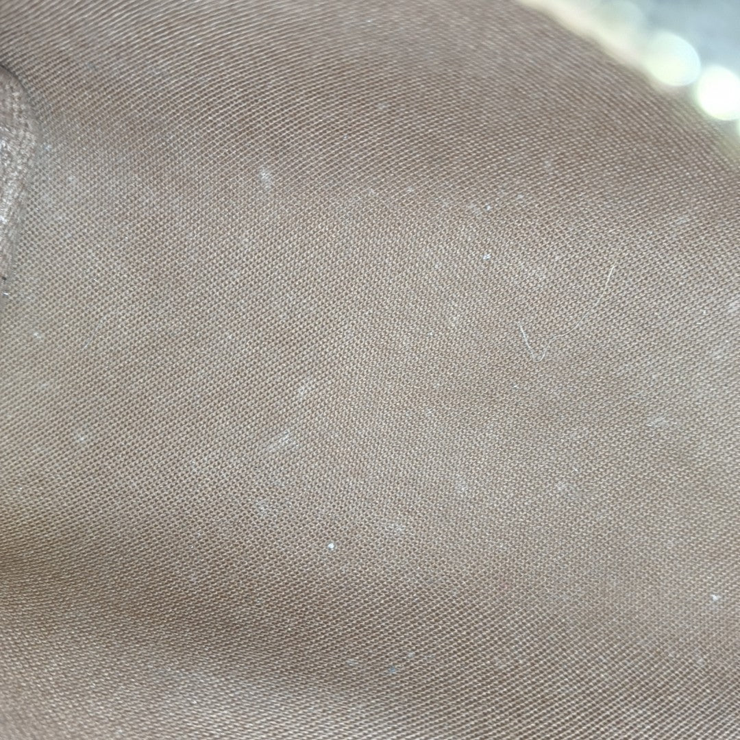 SPEEDY Nano Monogram Coated Canvas Brown
