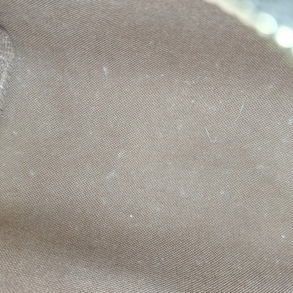 SPEEDY Nano Monogram Coated Canvas Brown