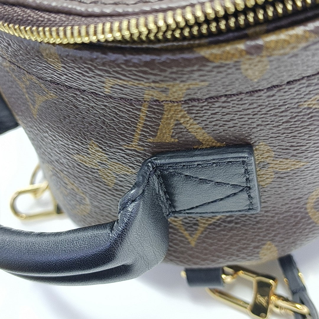 PALM SPRINGS Mini Monogram Coated Canvas Brown