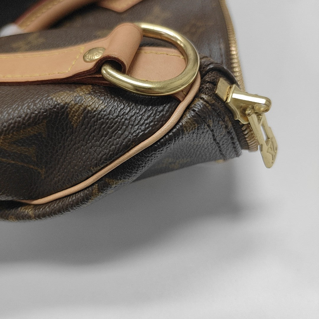 SPEEDY 25 Monogram Coated Canvas Brown