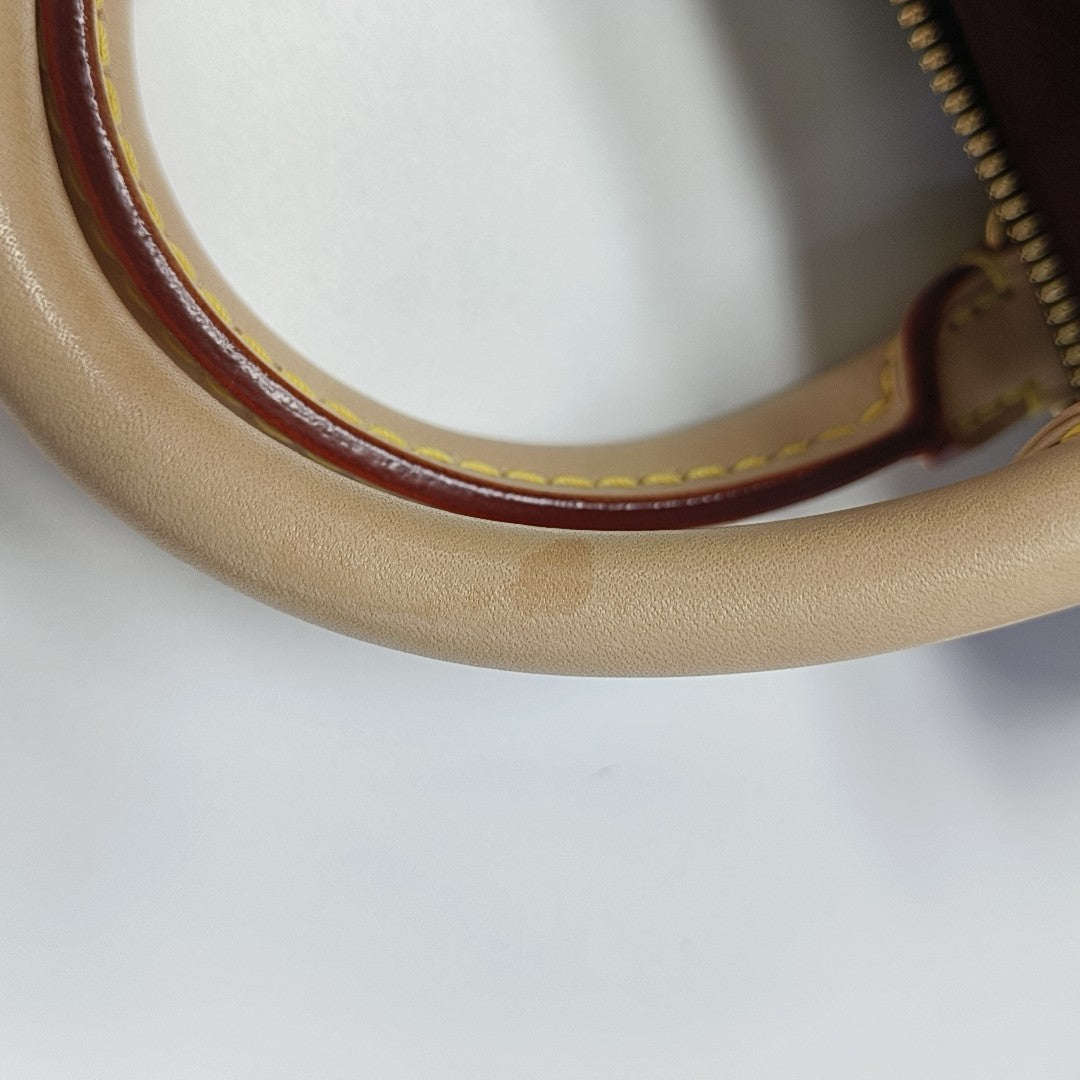 SPEEDY 20 Monogram Coated Canvas Brown