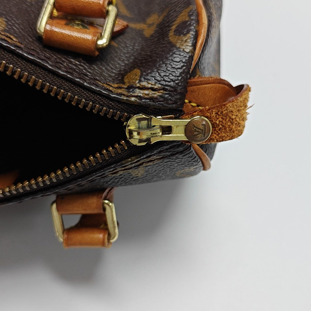 SPEEDY Nano Monogram Coated Canvas Brown