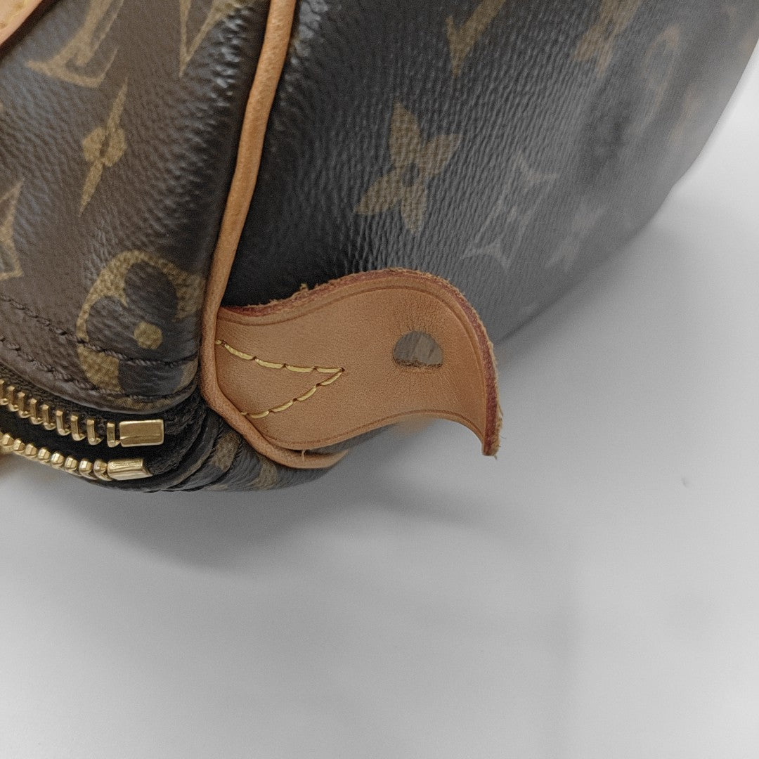 SPEEDY 25 Monogram Coated Canvas Brown