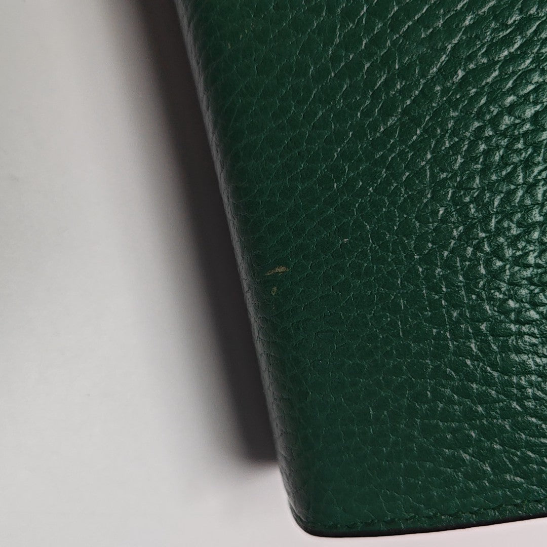 Dionysus Mini Calfskin Green