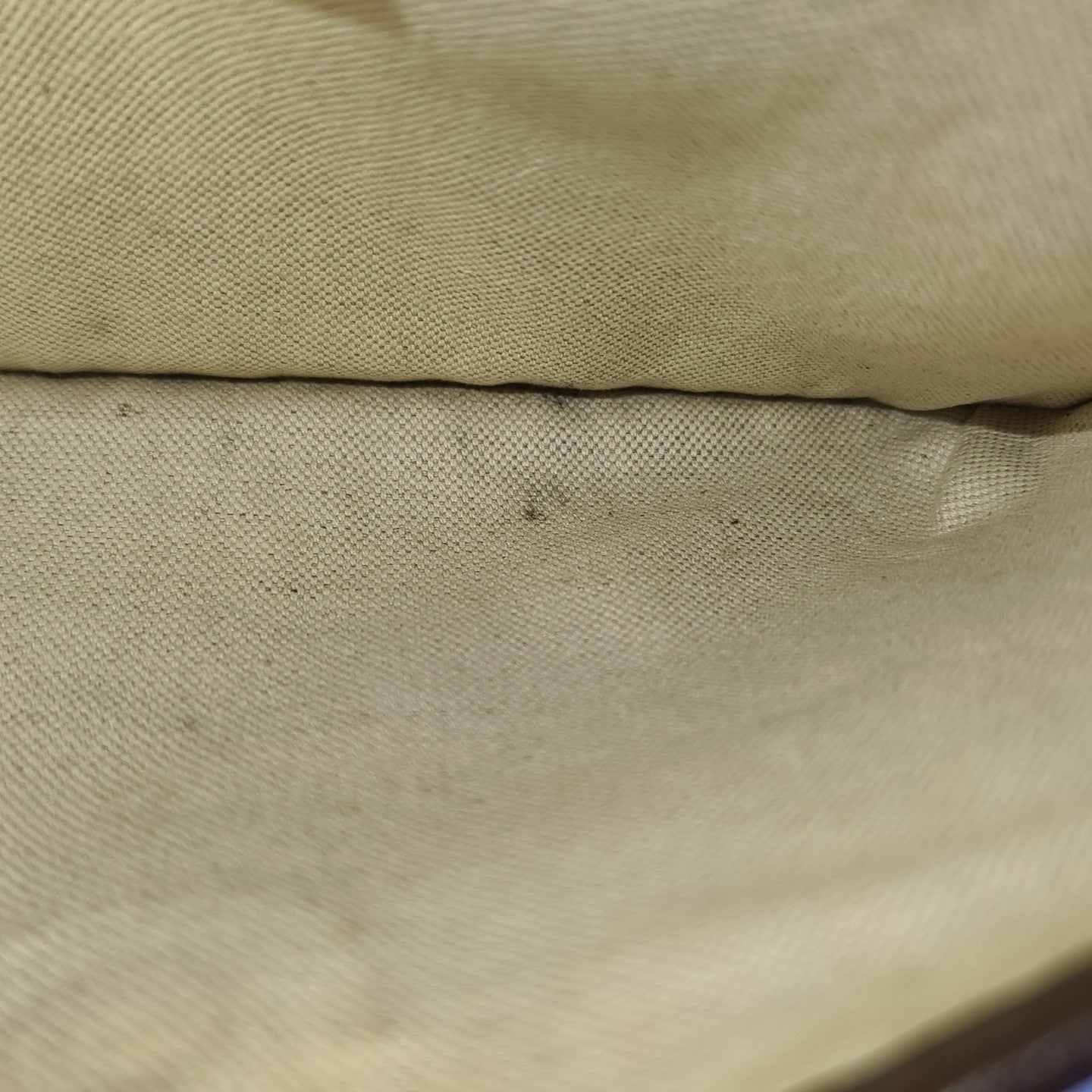 Neo Vintage Monogram Coated Canvas Beige