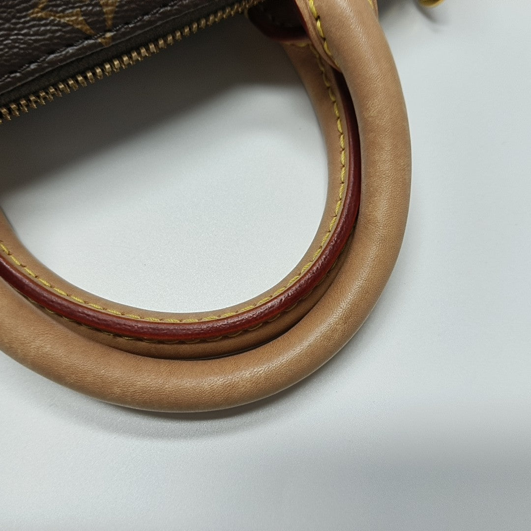 SPEEDY 20 Monogram Coated Canvas Brown