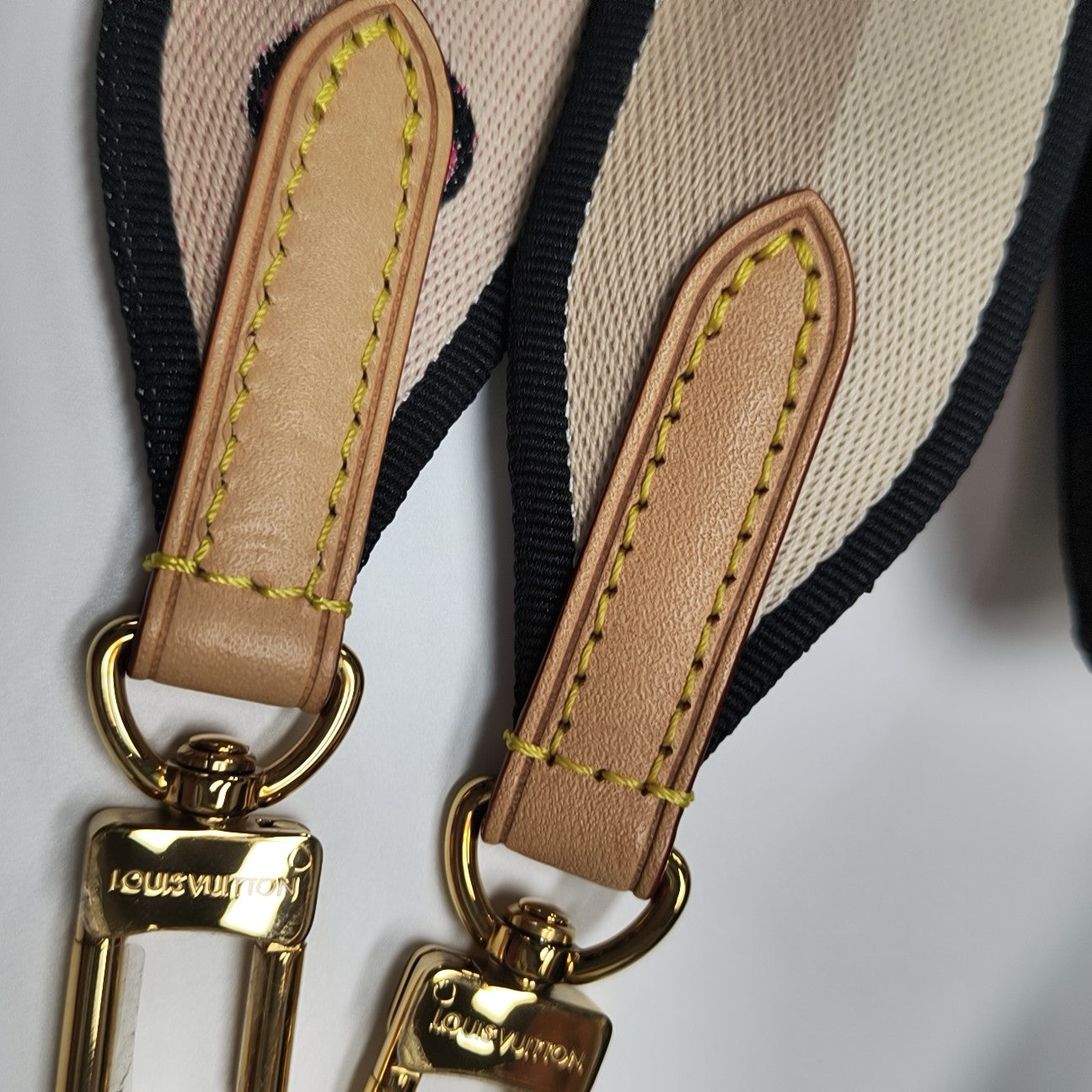 SPEEDY 20 Monogram Coated Canvas Brown