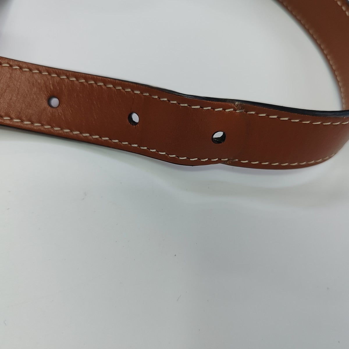 TRIOMPHE CANVAS Small Coated Canvas Brown