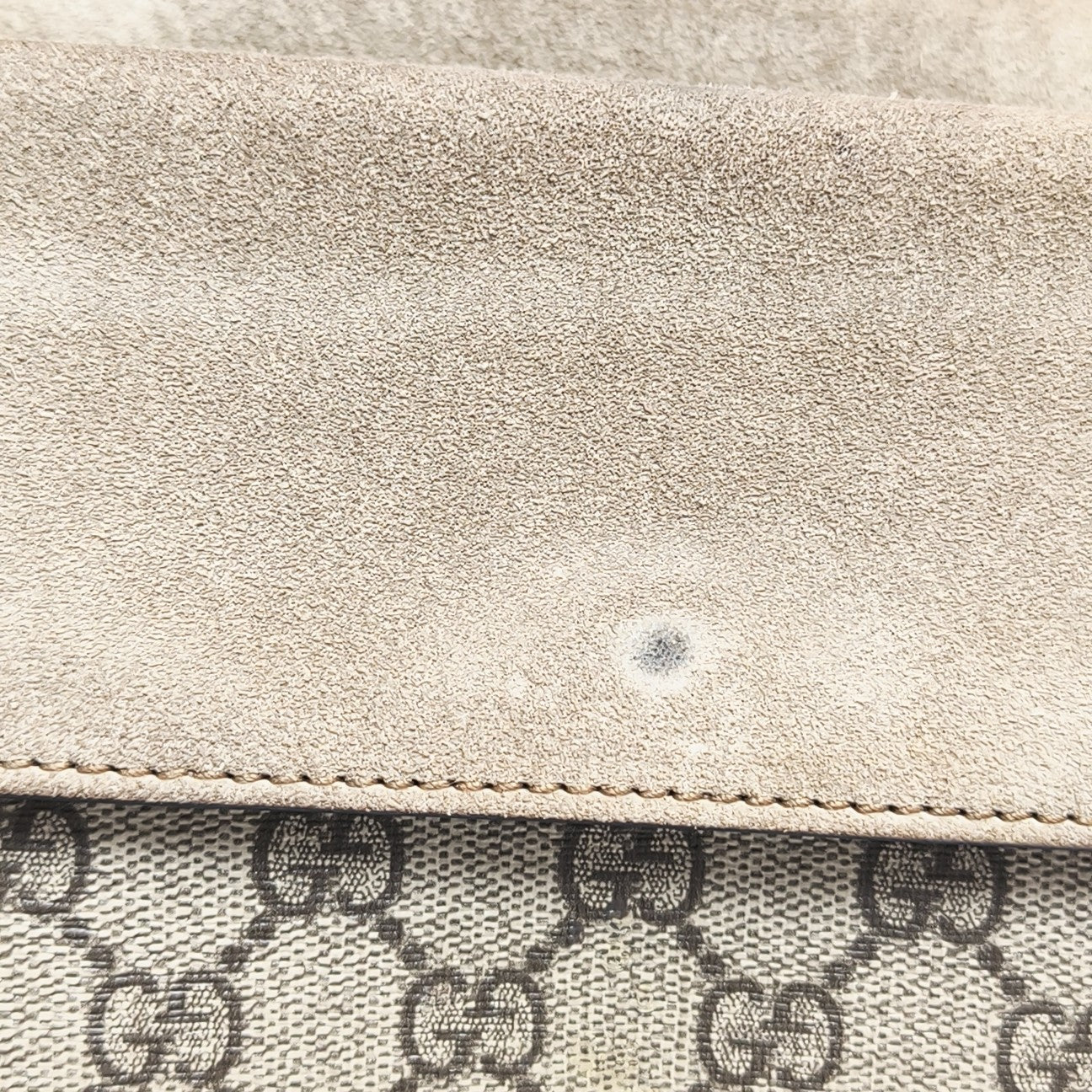 Dionysus Mini Monogram Coated Canvas Beige