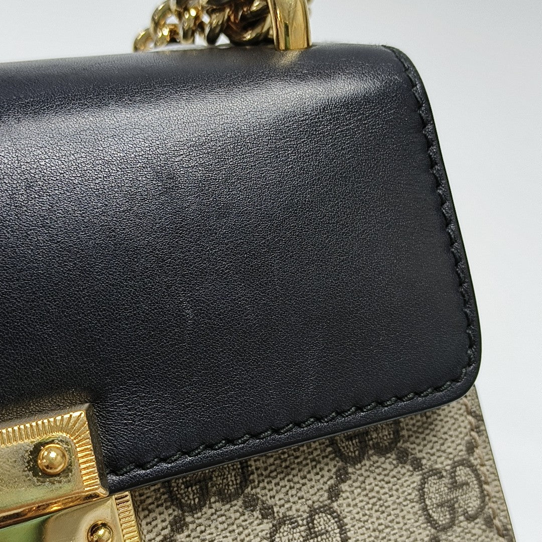 Padlock Small Monogram Coated Canvas Multicolor