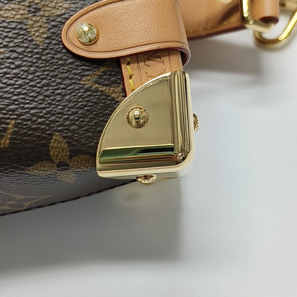 SIDE TRUNK PM Monogram Coated Canvas Brown