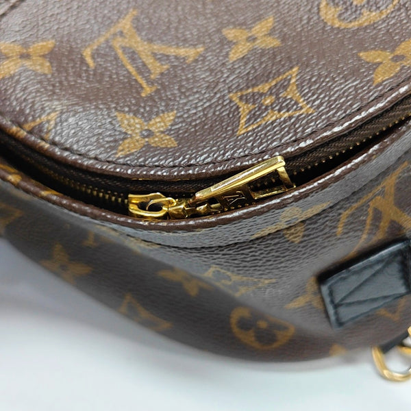 PALM SPRINGS Mini Monogram Coated Canvas Brown