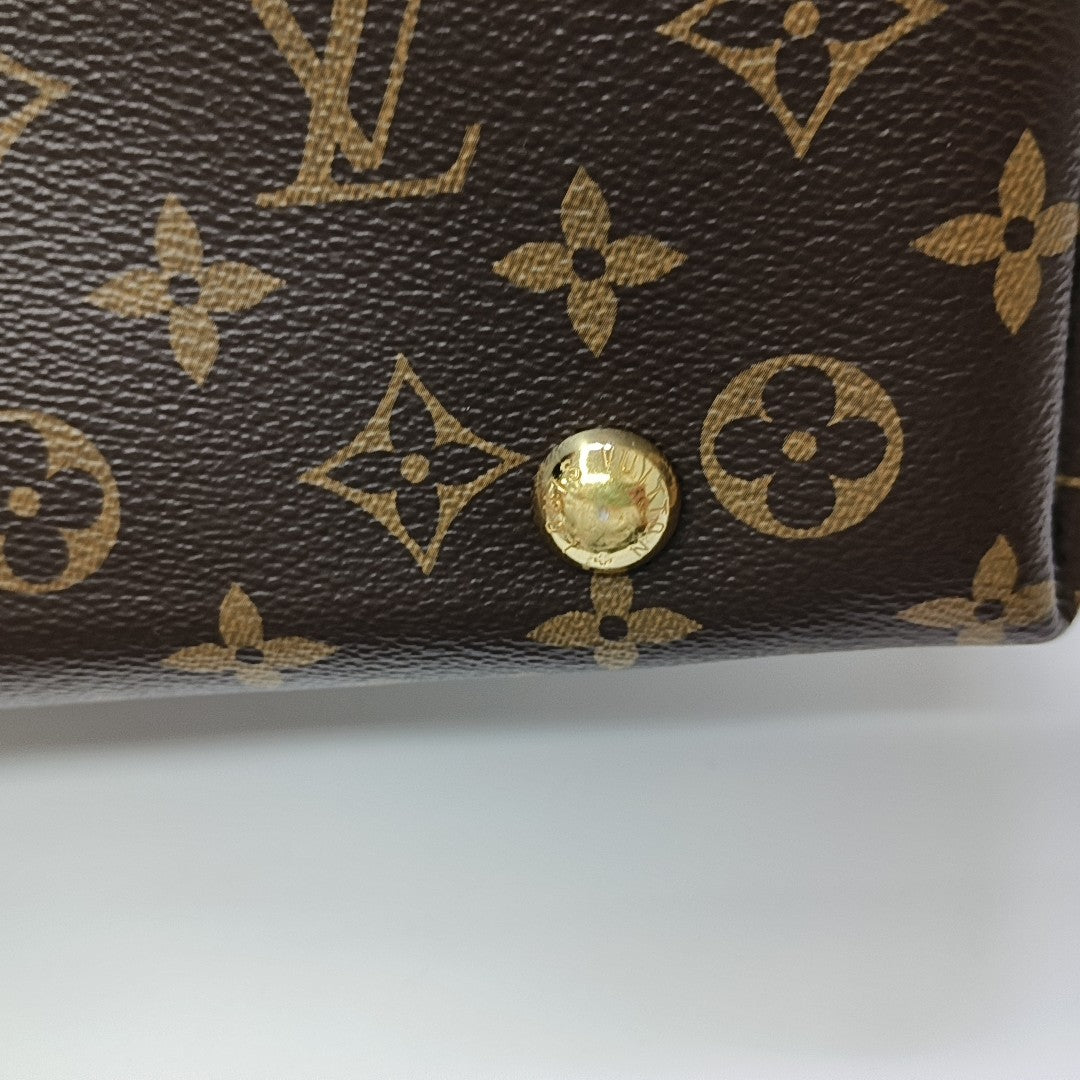 CARRYALL PM Monogram Coated Canvas Brown
