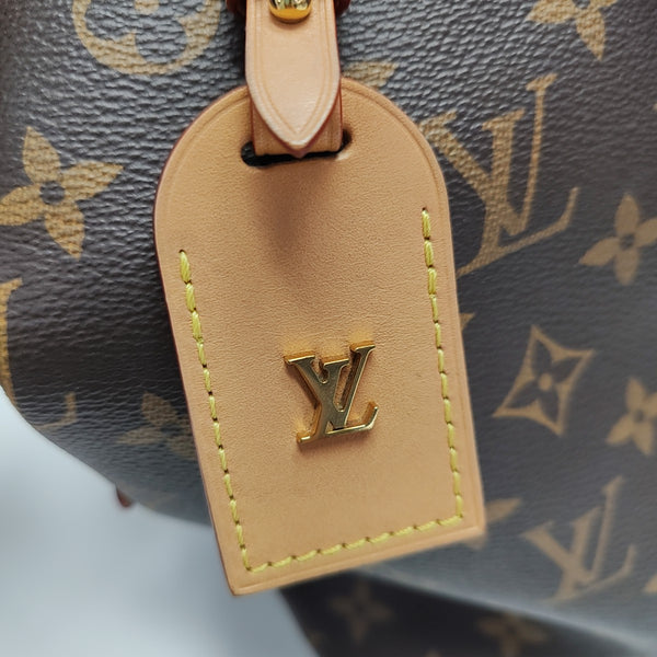 CARRYALL PM Monogram Coated Canvas Brown
