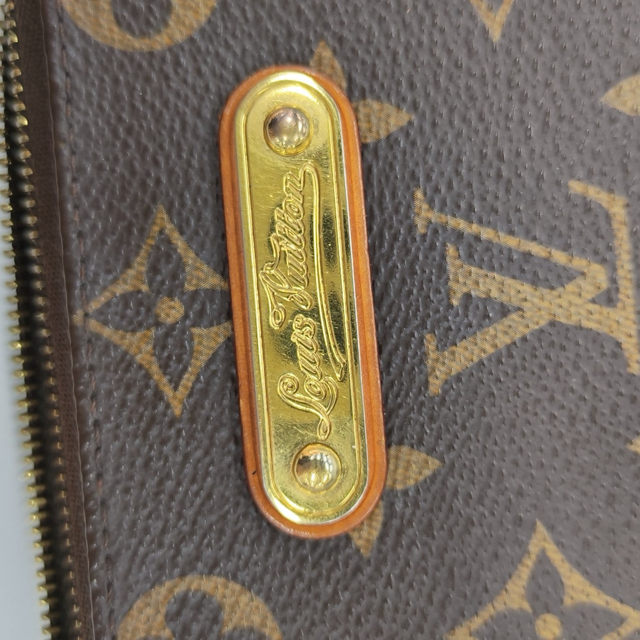 EVA Monogram Coated Canvas Brown
