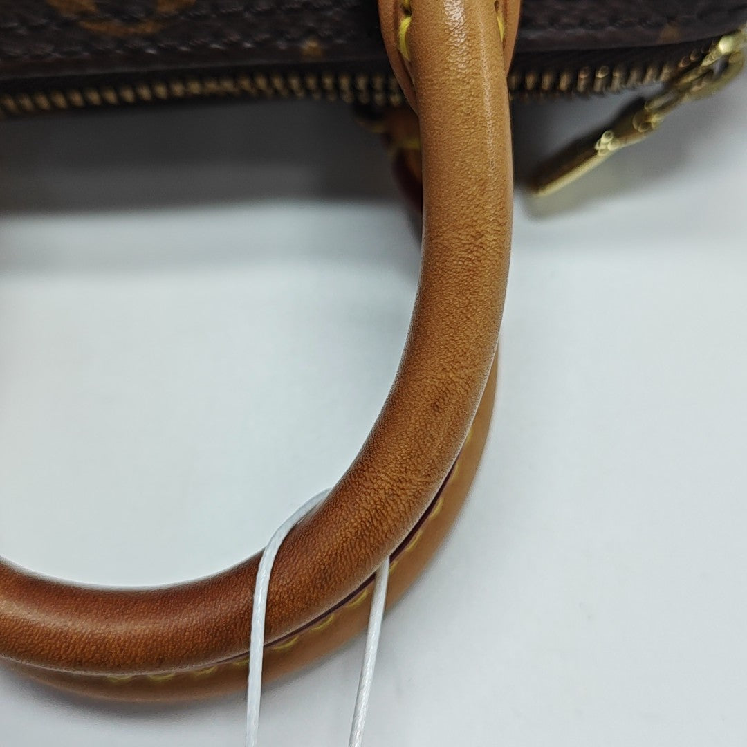 SPEEDY Nano Monogram Coated Canvas Brown
