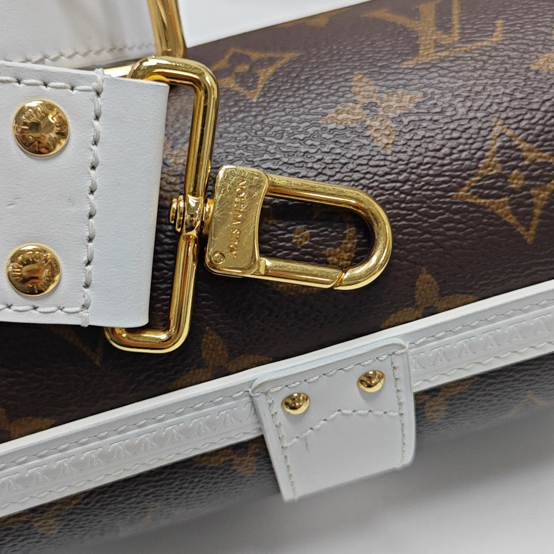 PAPILLON 19 Monogram Coated Canvas Brown