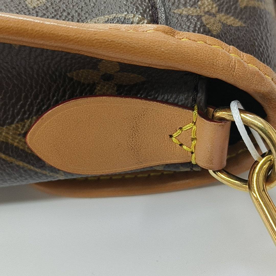 DIANE Monogram Coated Canvas Brown