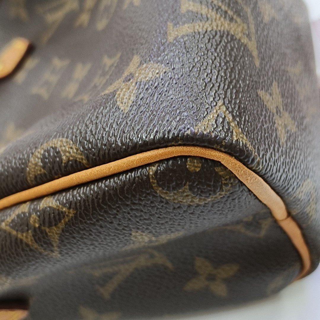 SPEEDY Nano Monogram Coated Canvas Brown