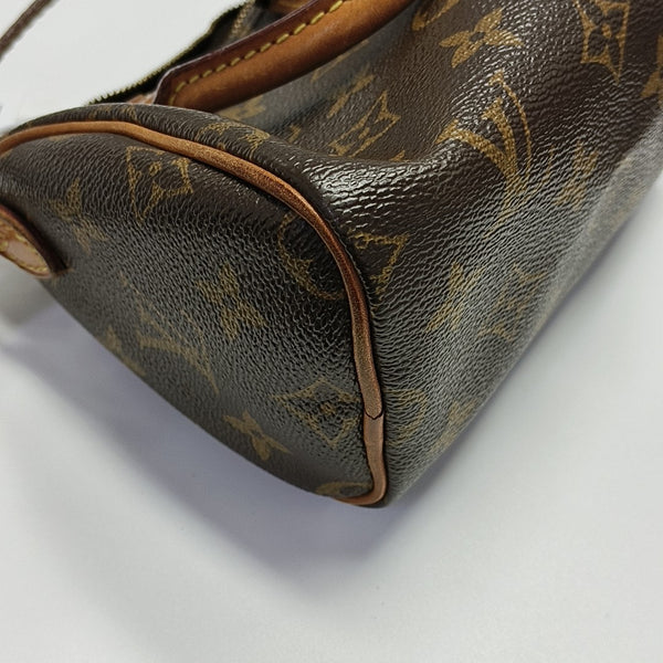 SPEEDY Nano Monogram Coated Canvas Brown
