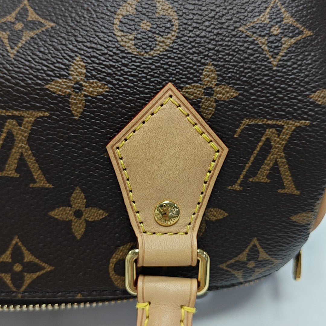 SPEEDY 20 Monogram Coated Canvas Brown