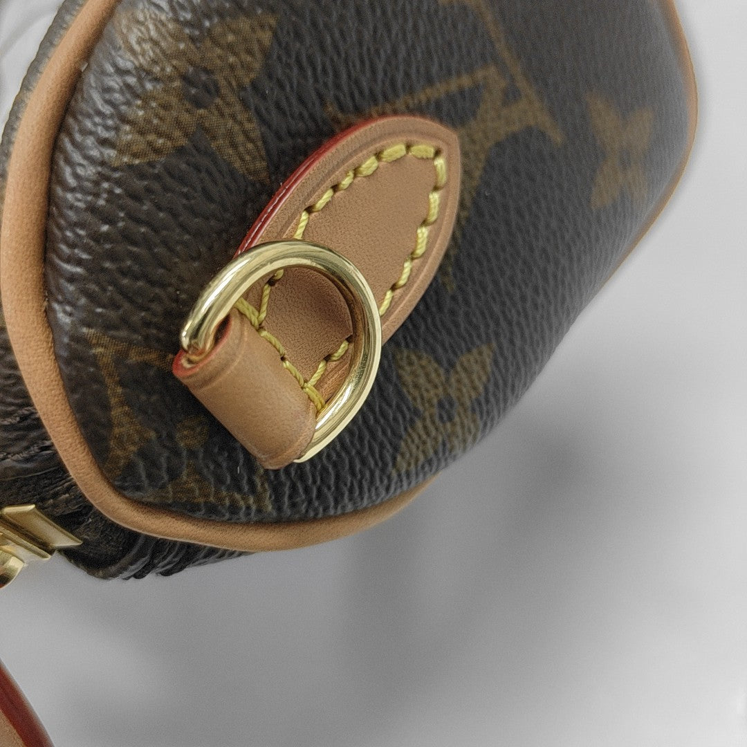 SPEEDY Nano Monogram Coated Canvas Brown