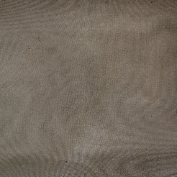 SPEEDY 30 Monogram Coated Canvas Brown
