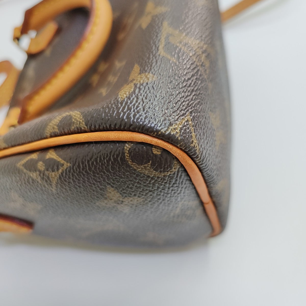 SPEEDY Nano Monogram Coated Canvas Brown