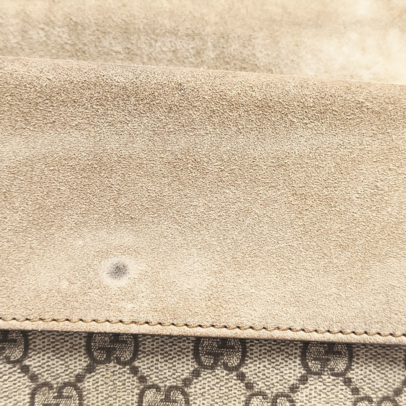Dionysus Mini Monogram Coated Canvas Beige