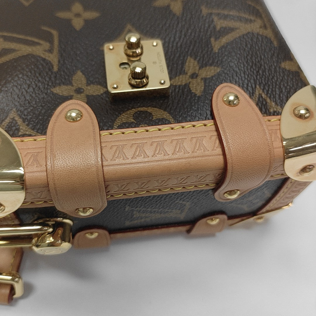 SIDE TRUNK PM Monogram Coated Canvas Brown