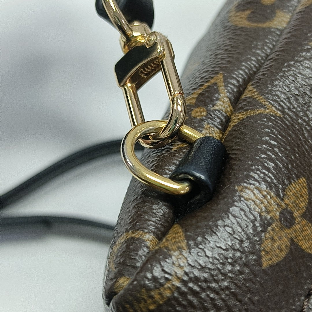 PALM SPRINGS Mini Monogram Coated Canvas Brown