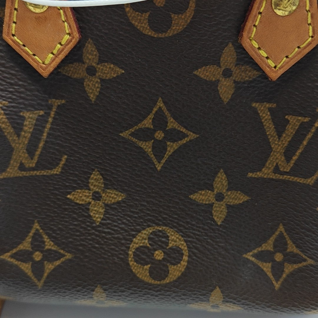 SPEEDY Nano Monogram Coated Canvas Brown