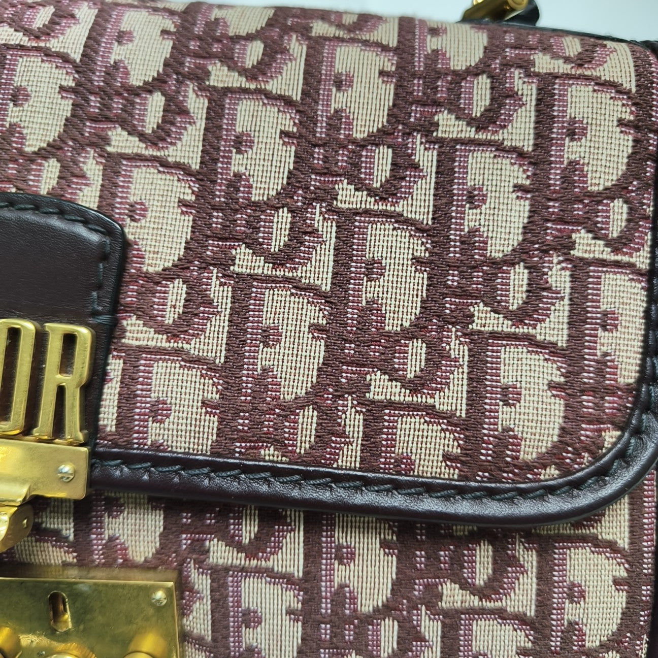 Dioraddict Oblique Canvas Red