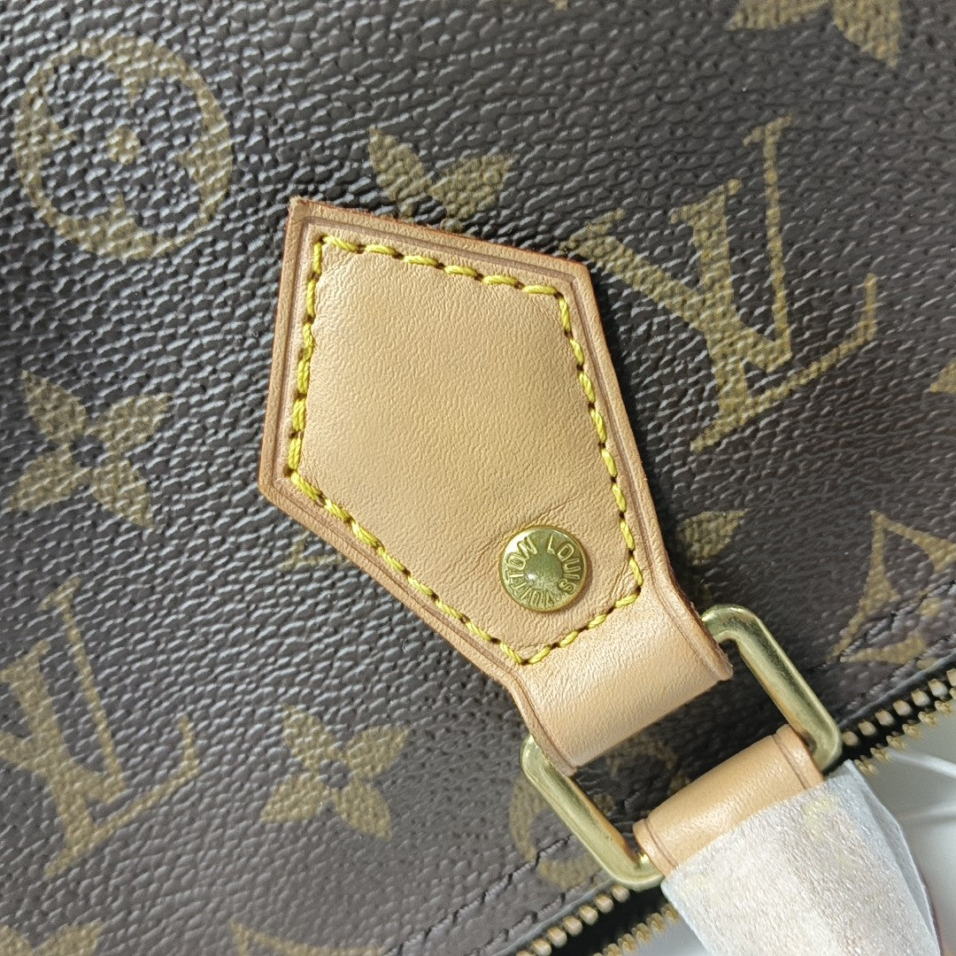 SPEEDY 25 Monogram Coated Canvas Brown