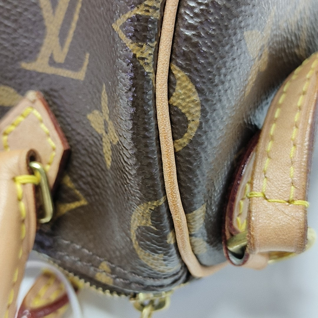 SPEEDY Nano Monogram Coated Canvas Brown