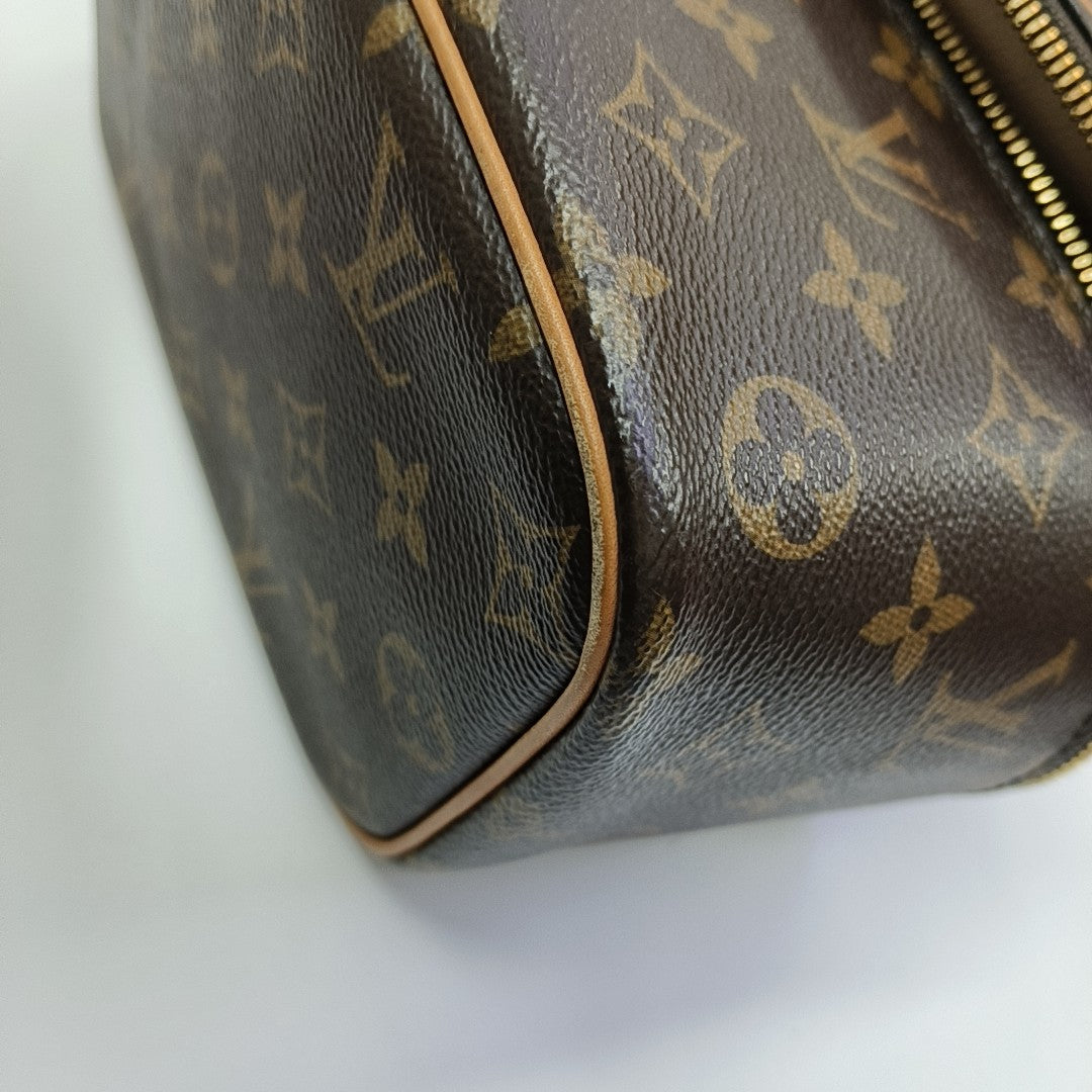 NICE Mini Monogram Coated Canvas Brown