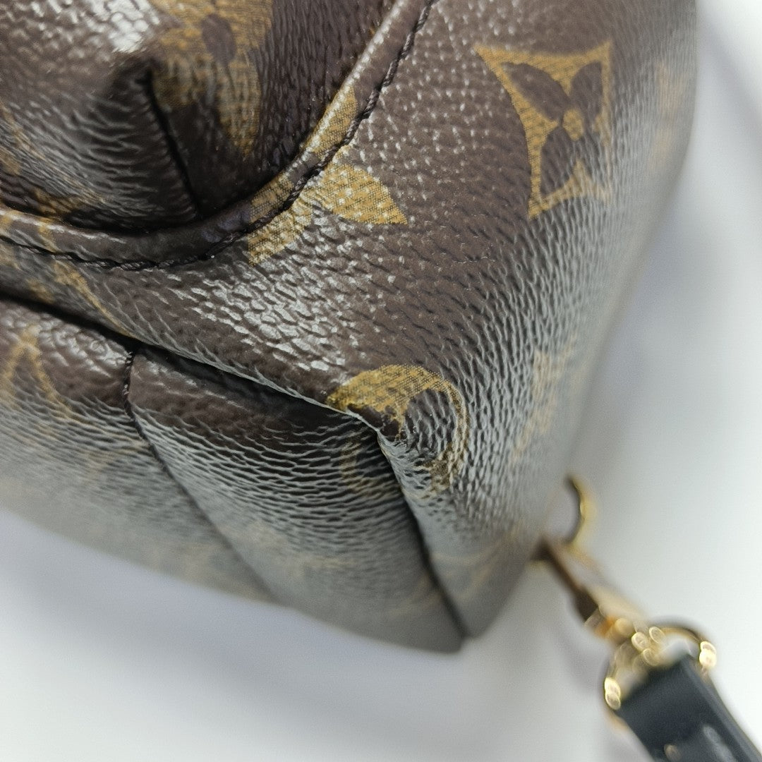 PALM SPRINGS Mini Monogram Coated Canvas Brown