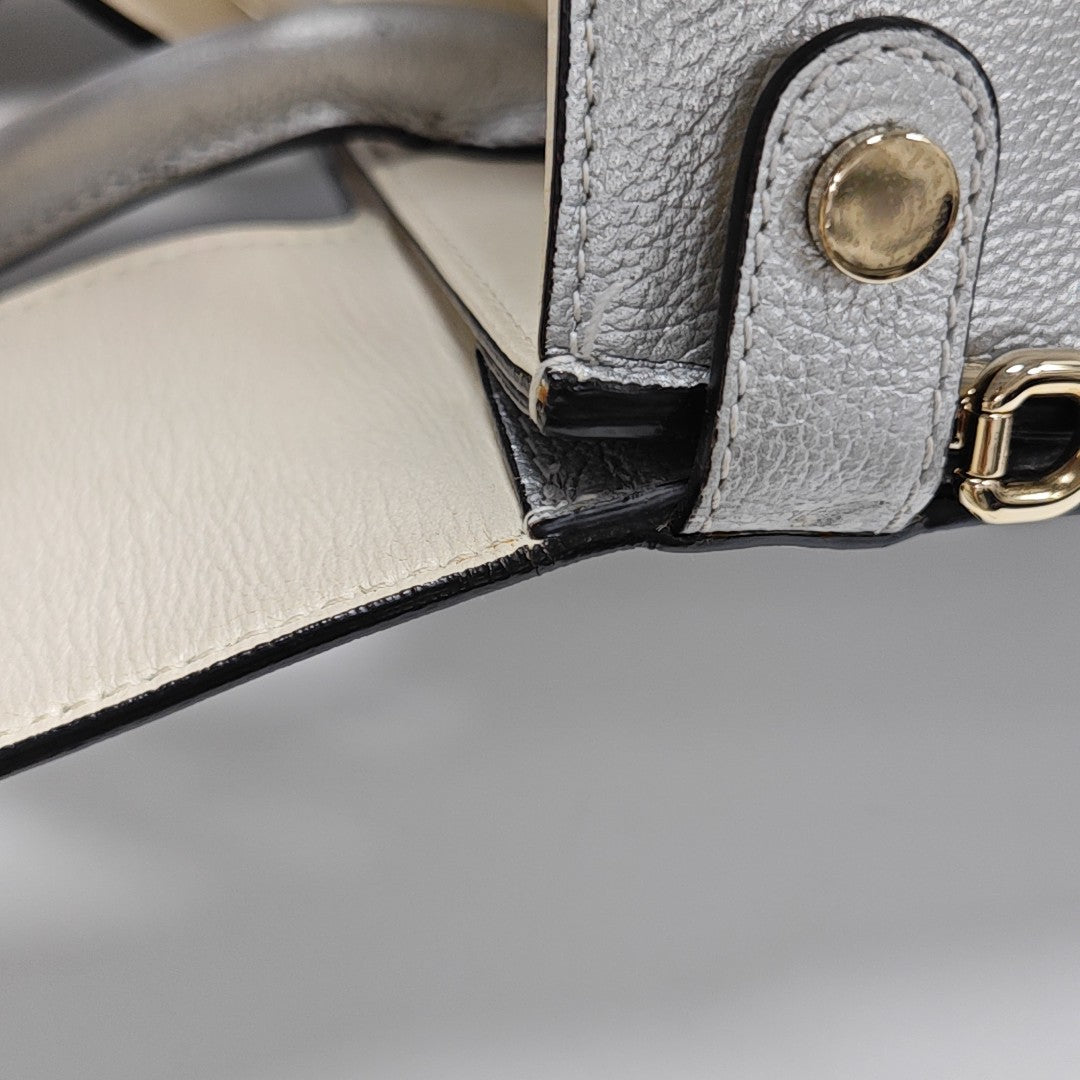 Diorever Calfskin Silver