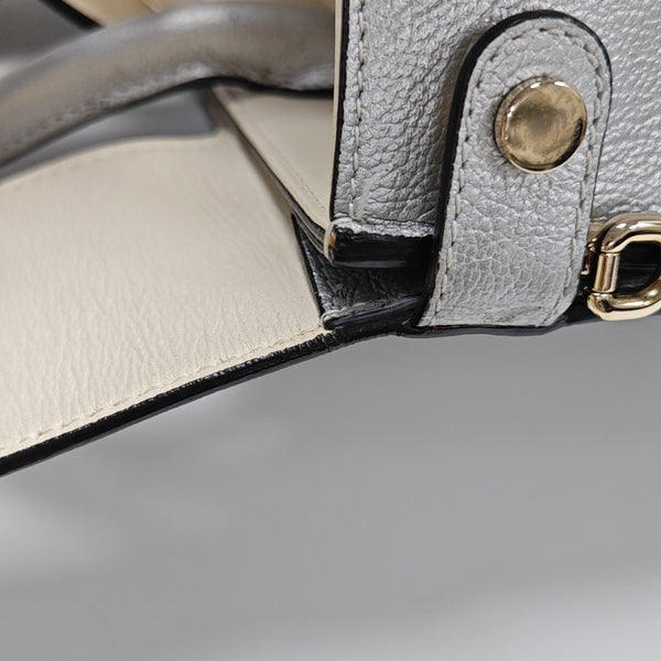 Diorever Calfskin Silver