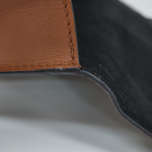 DAUPHINE Mini Monogram Coated Canvas Brown