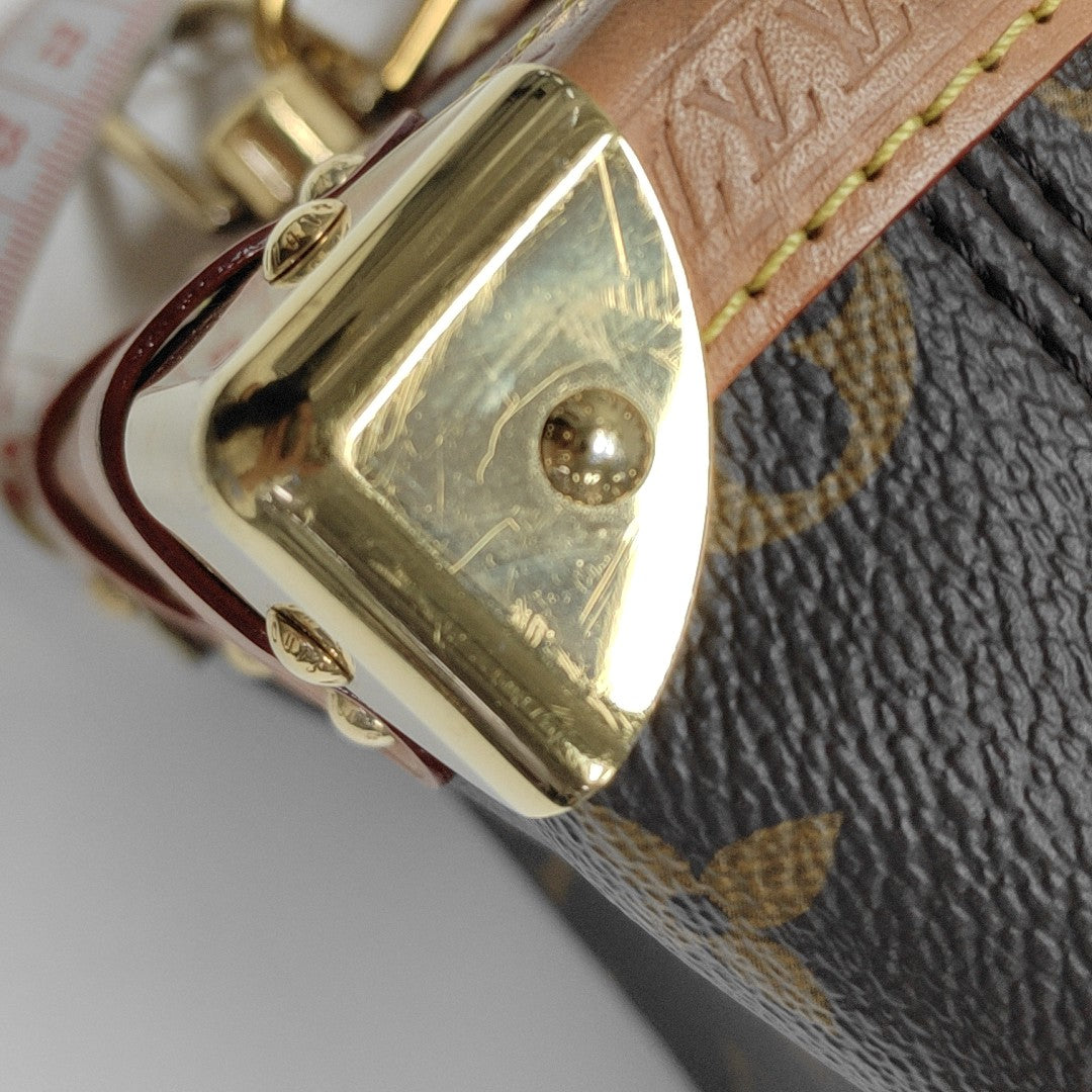 SIDE TRUNK PM Monogram Coated Canvas Brown