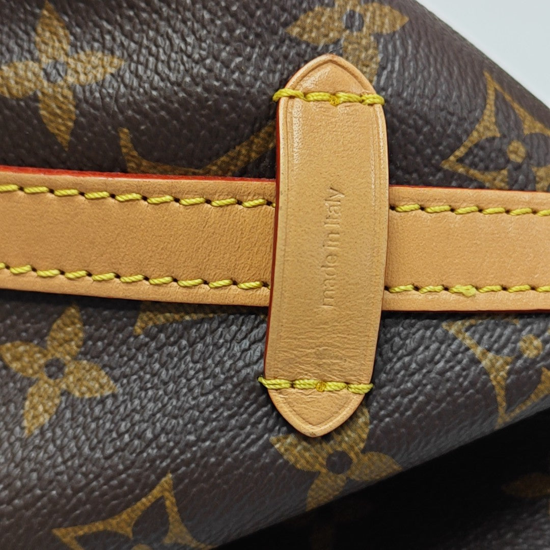 CARRYALL MM Monogram Coated Canvas Brown